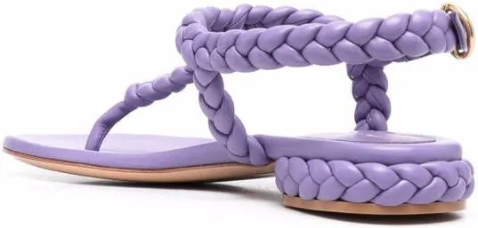 Gianvito Rossi braided-band open-toe sandals Purple