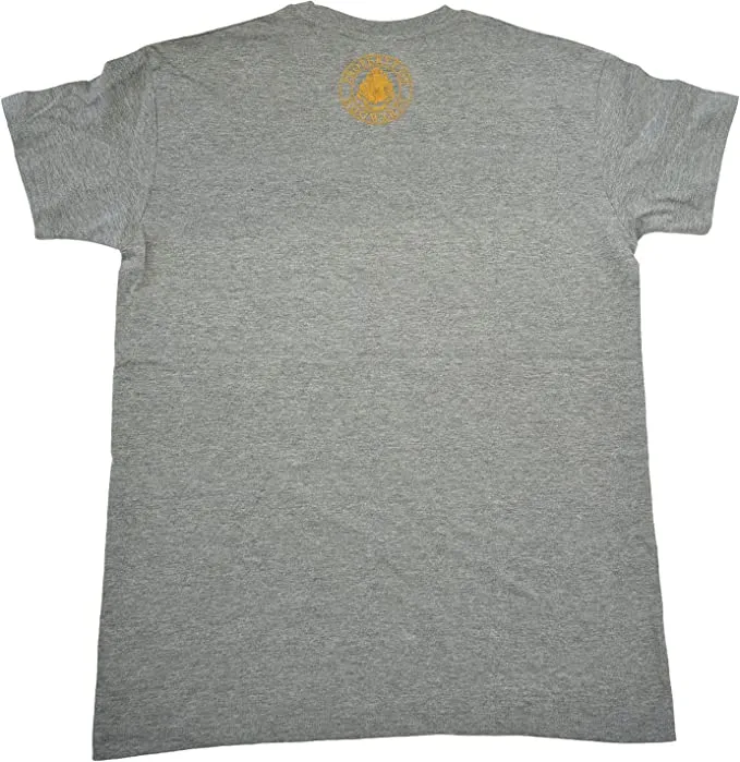 GRYFFINDOR GREY REVERSE Harry Potter T SHIRT