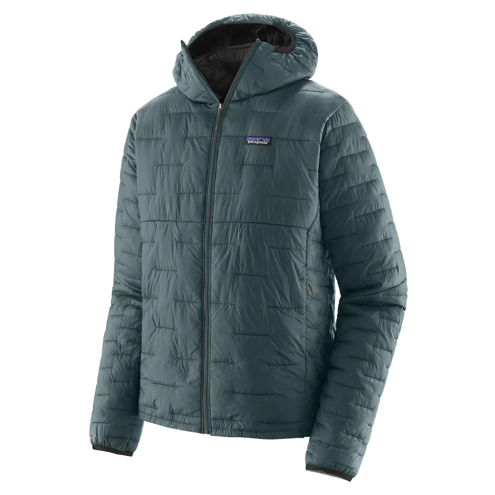 Patagonia Men's Micro Puff Hoody - Nouveau Green