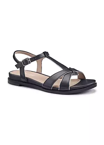 Pienza Navy Women’s Sandals by Hotter | Look Again