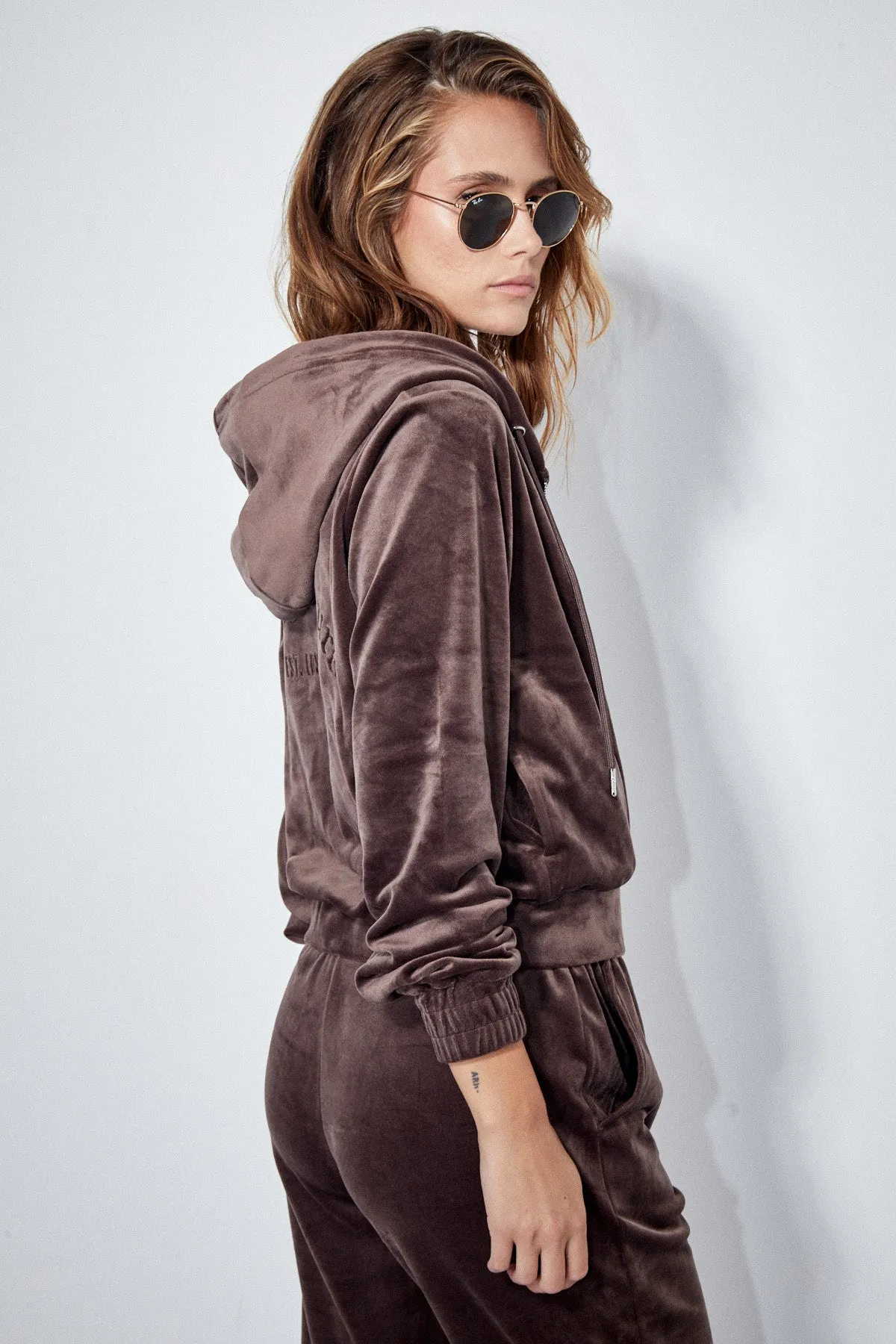 Velour Hoodie in Brown